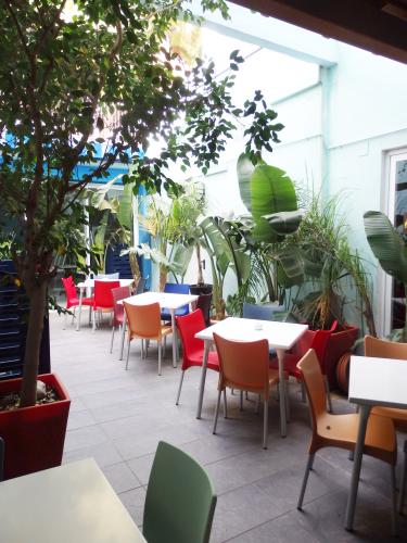PARROTS SITGES 4