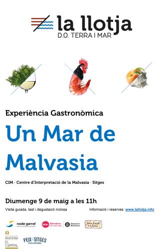 Cartell-Mar-de-Malvasia