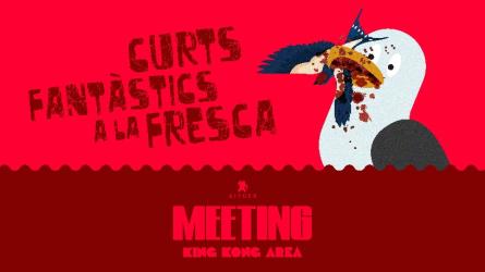 Curts-fresca-2023