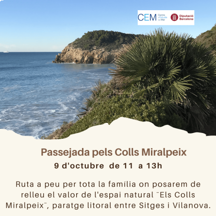 els colls
