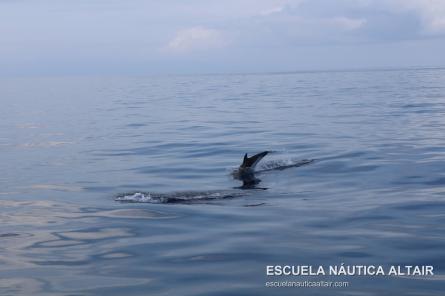 escuela nautica altair