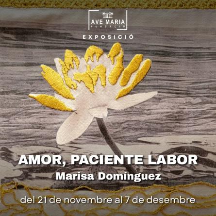 expo ave maria amor, paciente labor
