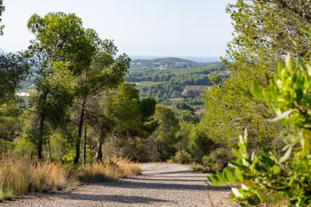 Garraf_camialMontgros