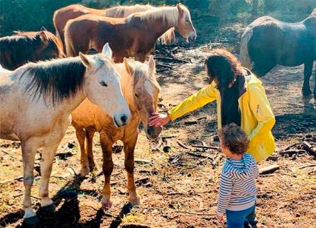 garraf_cavalls_lliures Families