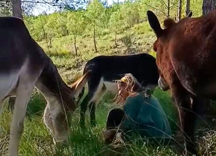 meditacio-elpetitbosc