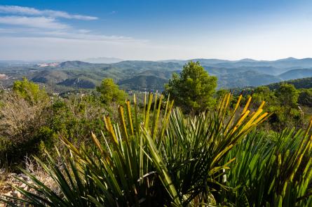 Garraf_pujadaMontgros
