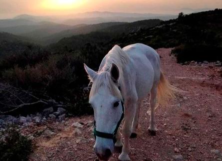 garraf_sunset
