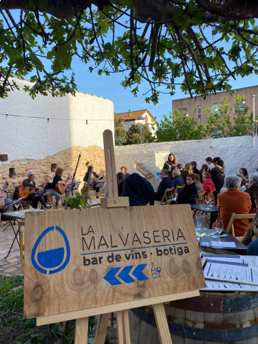 malvaseria_icona