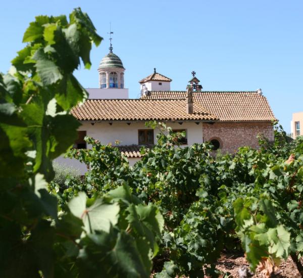 malvasia de sitges
