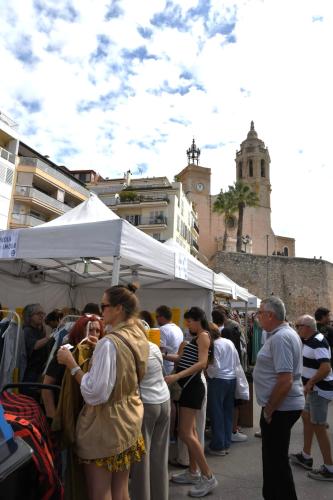 Market & Foraestocs (1)