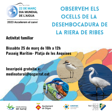 Observem_els_nostres_ocells_-_Sitges