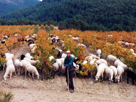 Parés Baltà5