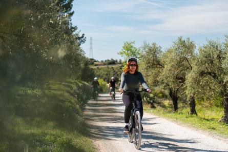 Penedes Bike Tour Origins 2