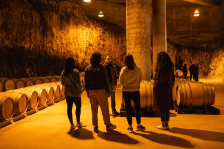 Penedes Bike Tour Origins 4