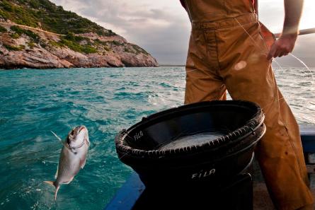 pesca artesanal