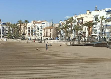 Plata de Sant Sebastià (2)