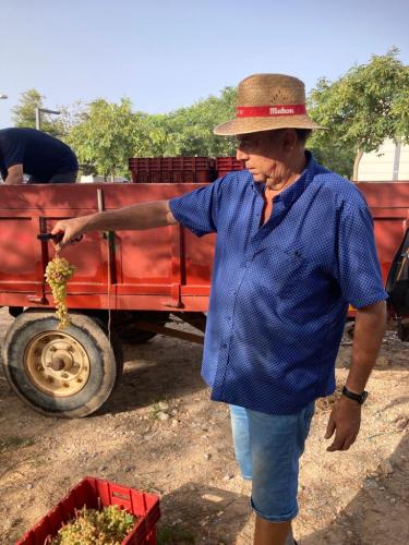 raïm- tractor-