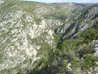 Sender del Mediterrani. Camí de les costes
