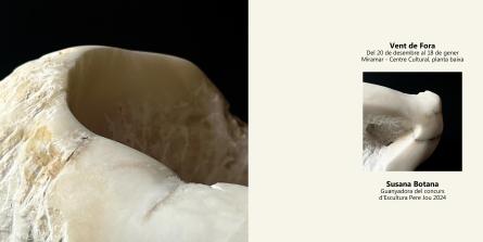 Vent de Fora - Susana Botana