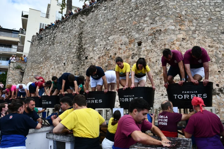 Teams competing in the grape treading contest in Torres barrels during the Fira de la Vendimia i Mostra de Vins in Sitges.