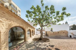Centro de Interpretación de la Malvasia de Sitges – LA MALVASERIA – bar de vinos